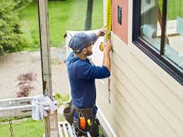 Best Stone Veneer Siding  in Lady Lake, FL